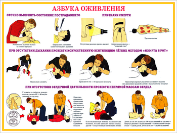 ПВ05 Первая помощь при чрезвычайных ситуациях (самокл.пленка, А3, 9 листов) - Плакаты - Медицинская помощь - Магазин товаров по охране труда и технике безопасности.