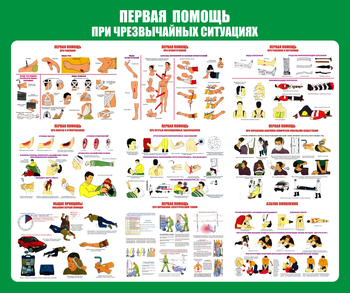 С20-1 Стенд Оказание первой помощи при ЧС (670х800 мм, пластик ПВХ 3 мм, Прямая печать на пластик) - Стенды - Стенды по первой медицинской помощи - Магазин товаров по охране труда и технике безопасности.